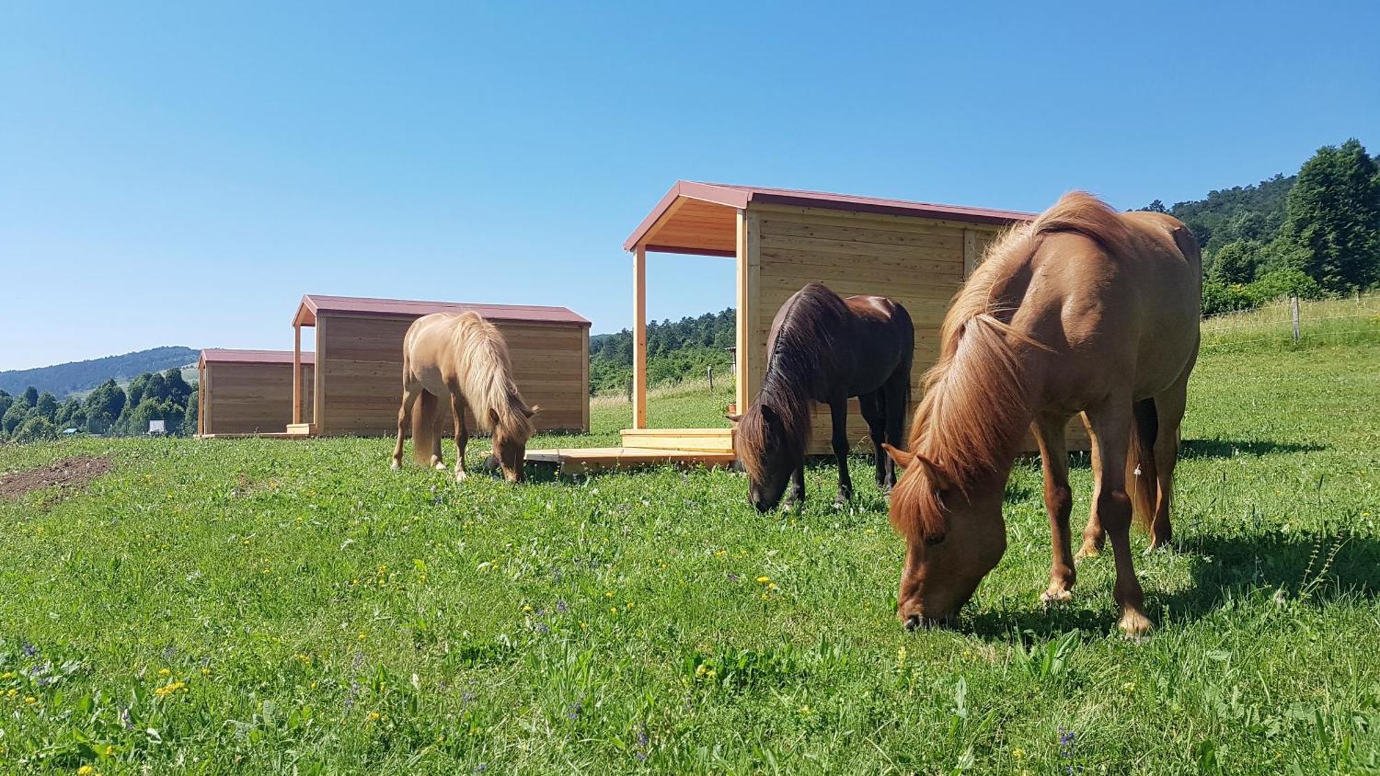 Hotel Camp The Sunrise Hill Pivka Exterior foto